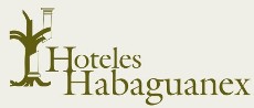 The company Habaguanex SA which runs tourist establishments in Old Havana